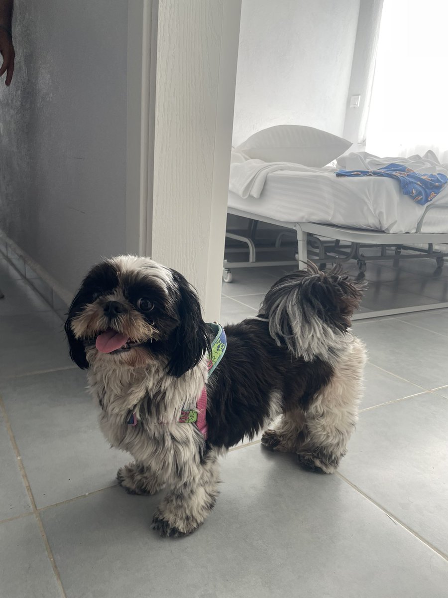 <a href="/menass_/">Sanem</a> Yok ya bazen de gülürüz…