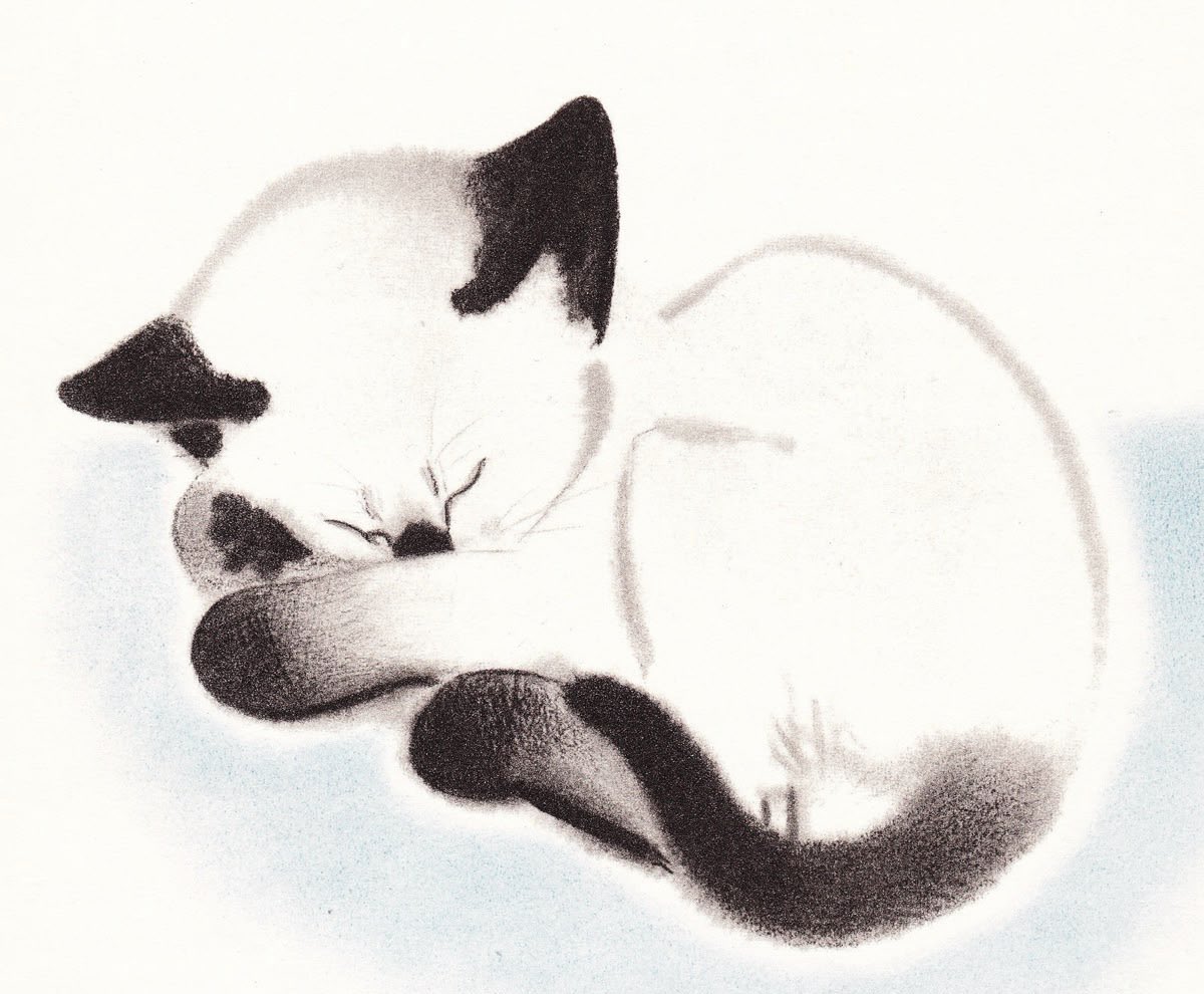 cottontailmouse's tweet image. this is kind of what i look like