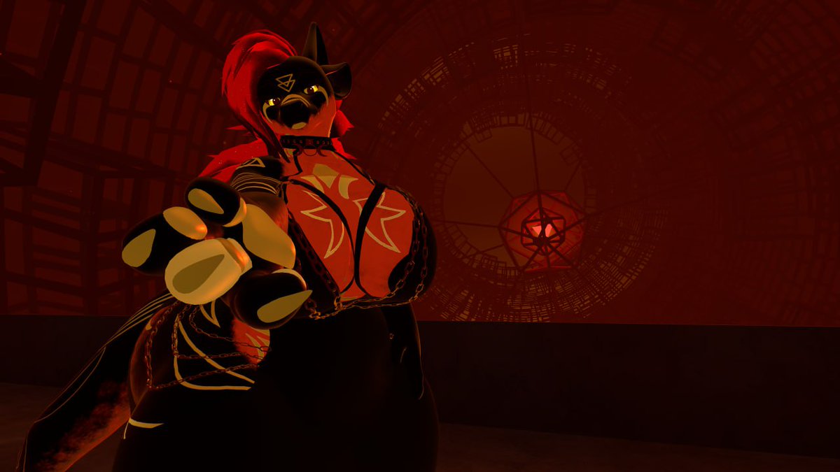 SnoozieCat tweet media