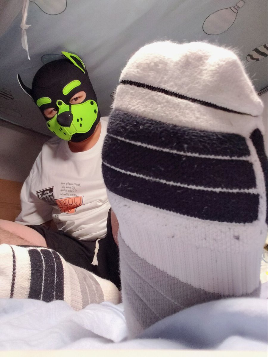 狗小盒 tweet media