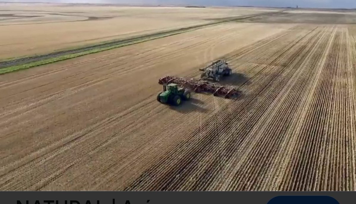 nelo.bacora tweet media