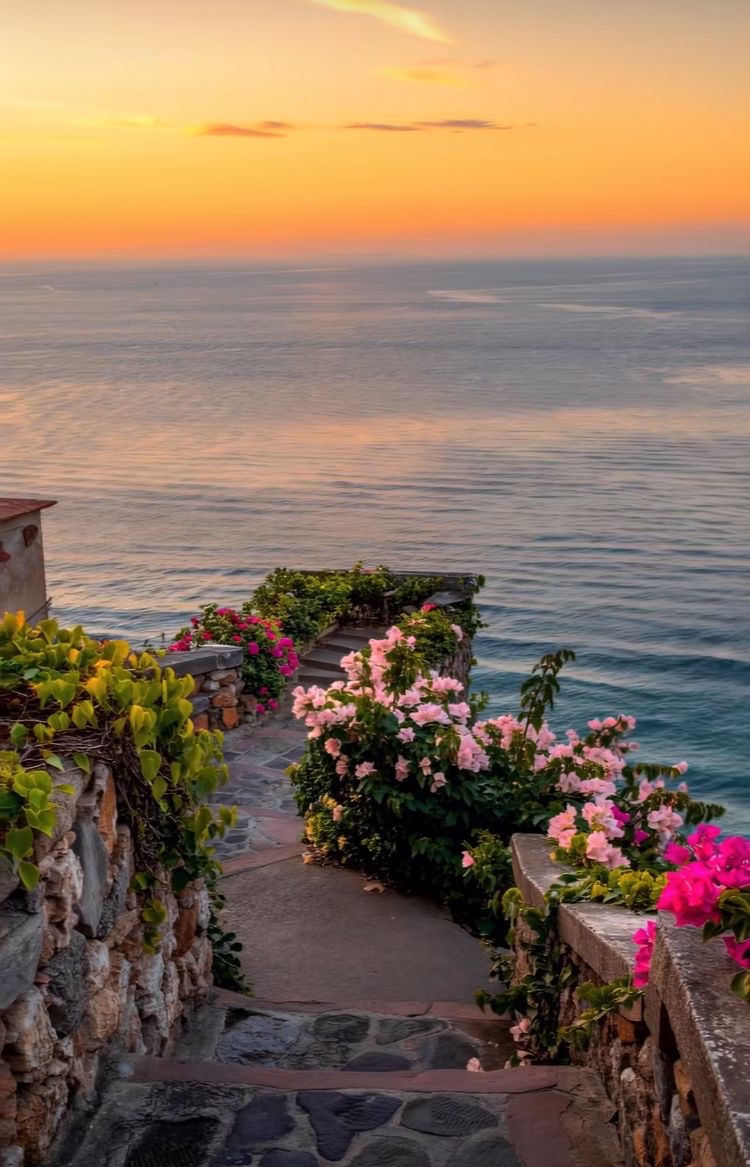 elyradream's tweet image. 