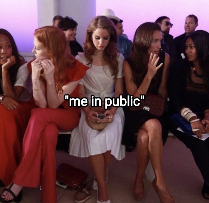 cdoll's tweet image. 