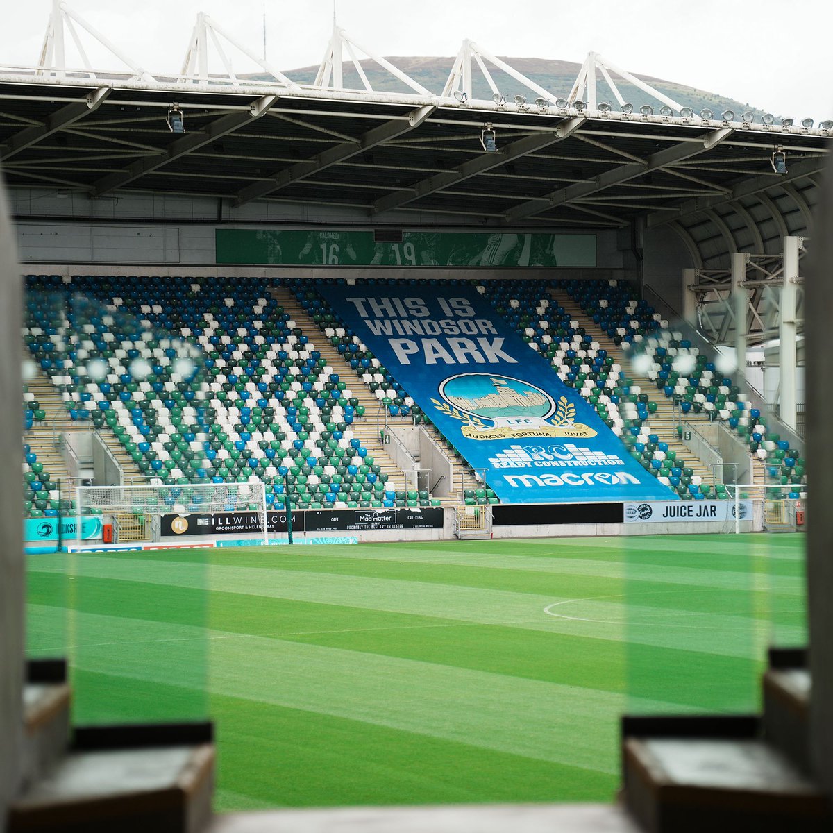 Linfield FC tweet media