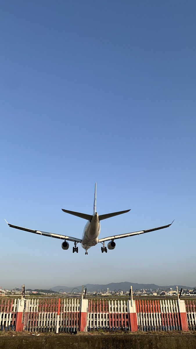 MillerTimoby's tweet image. 飛行機が頭上を飛ぶとき、私は魂が引き裂かれるような感覚を覚えました。