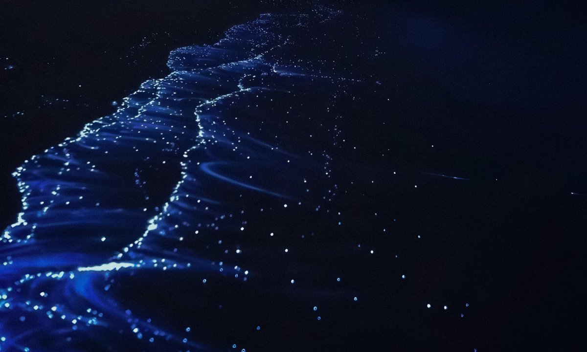 gardenofcolours's tweet image. 