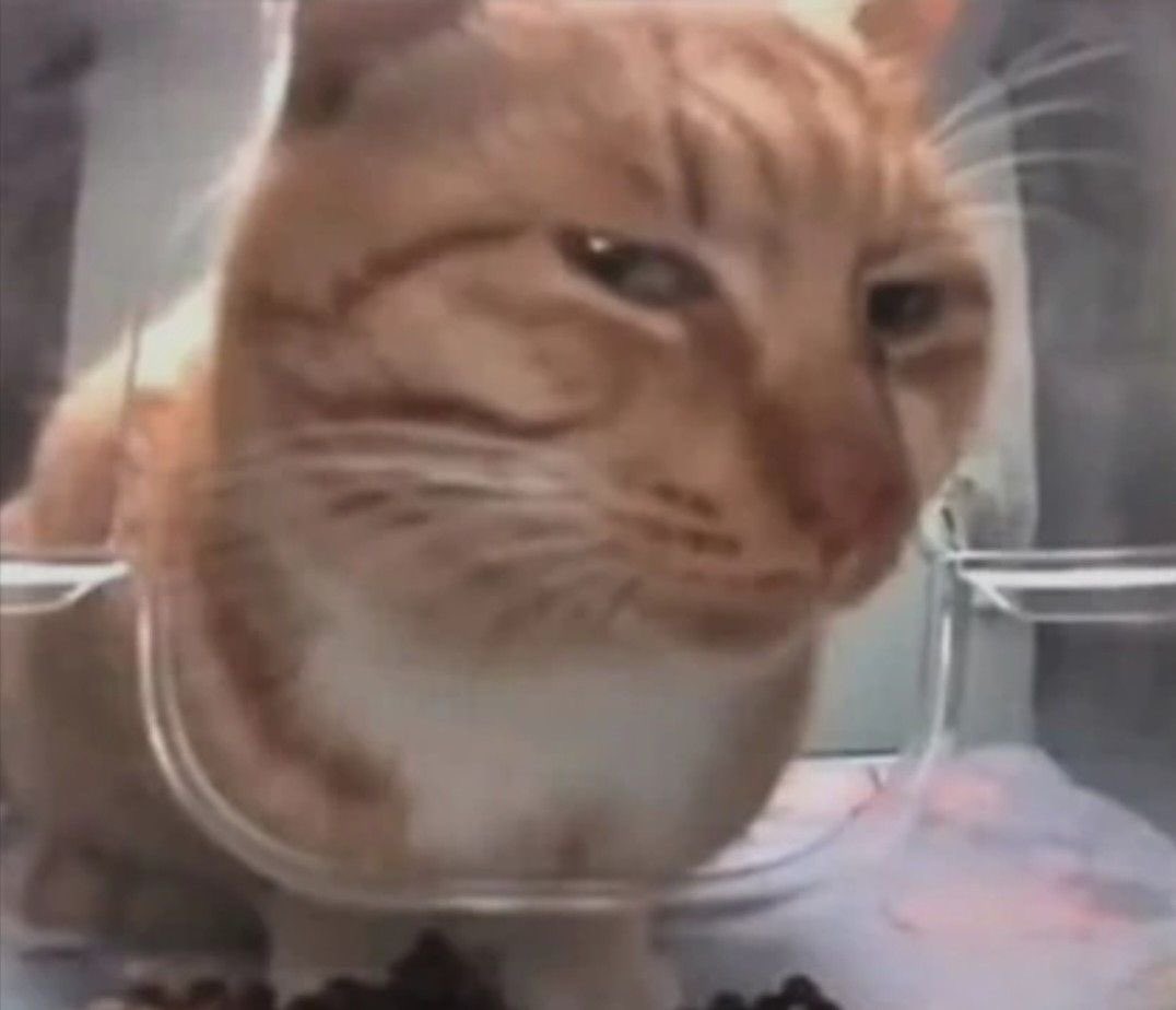 ada (@adasnat) on Twitter photo 