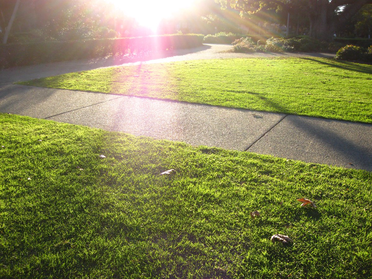 holdingawish's tweet image. 