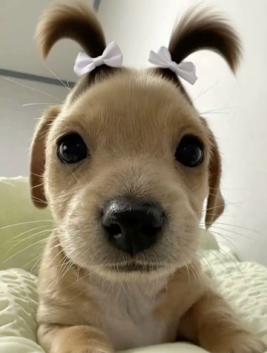 what would you name her?