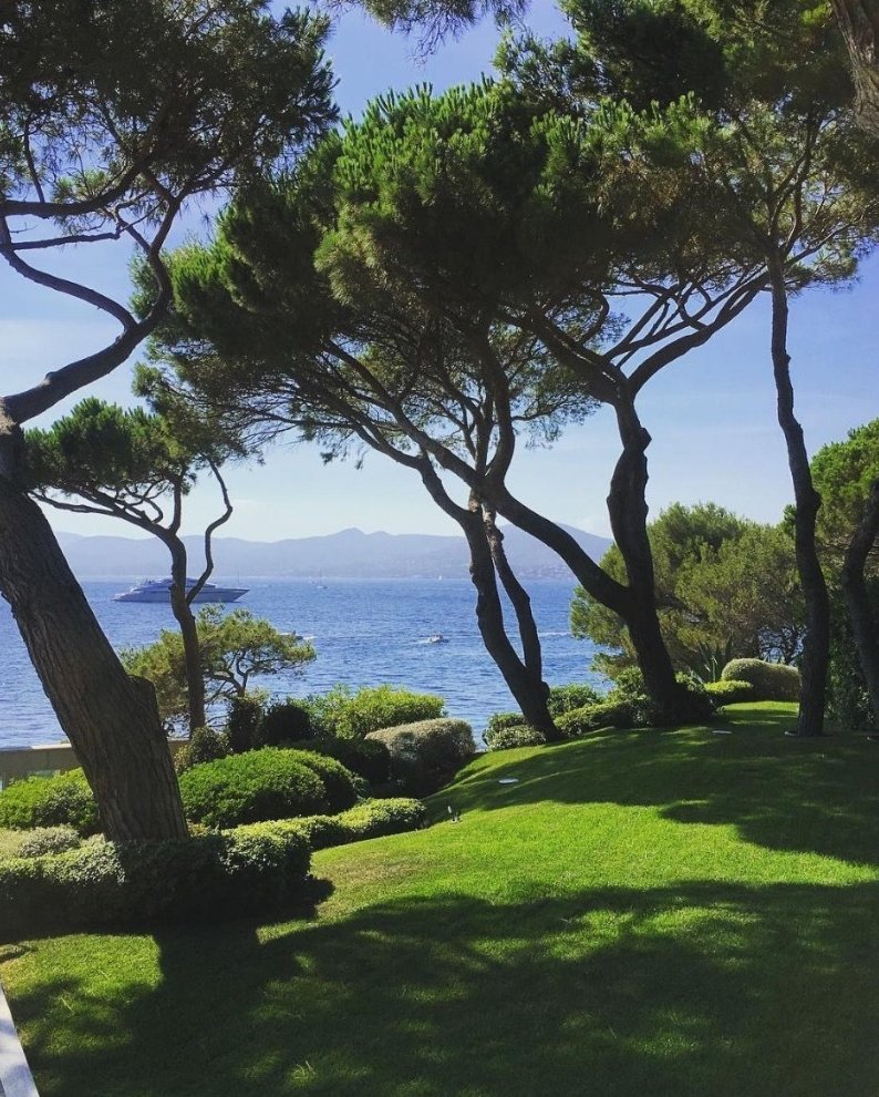 MittCPA's tweet image. perspective is the key to inner peace