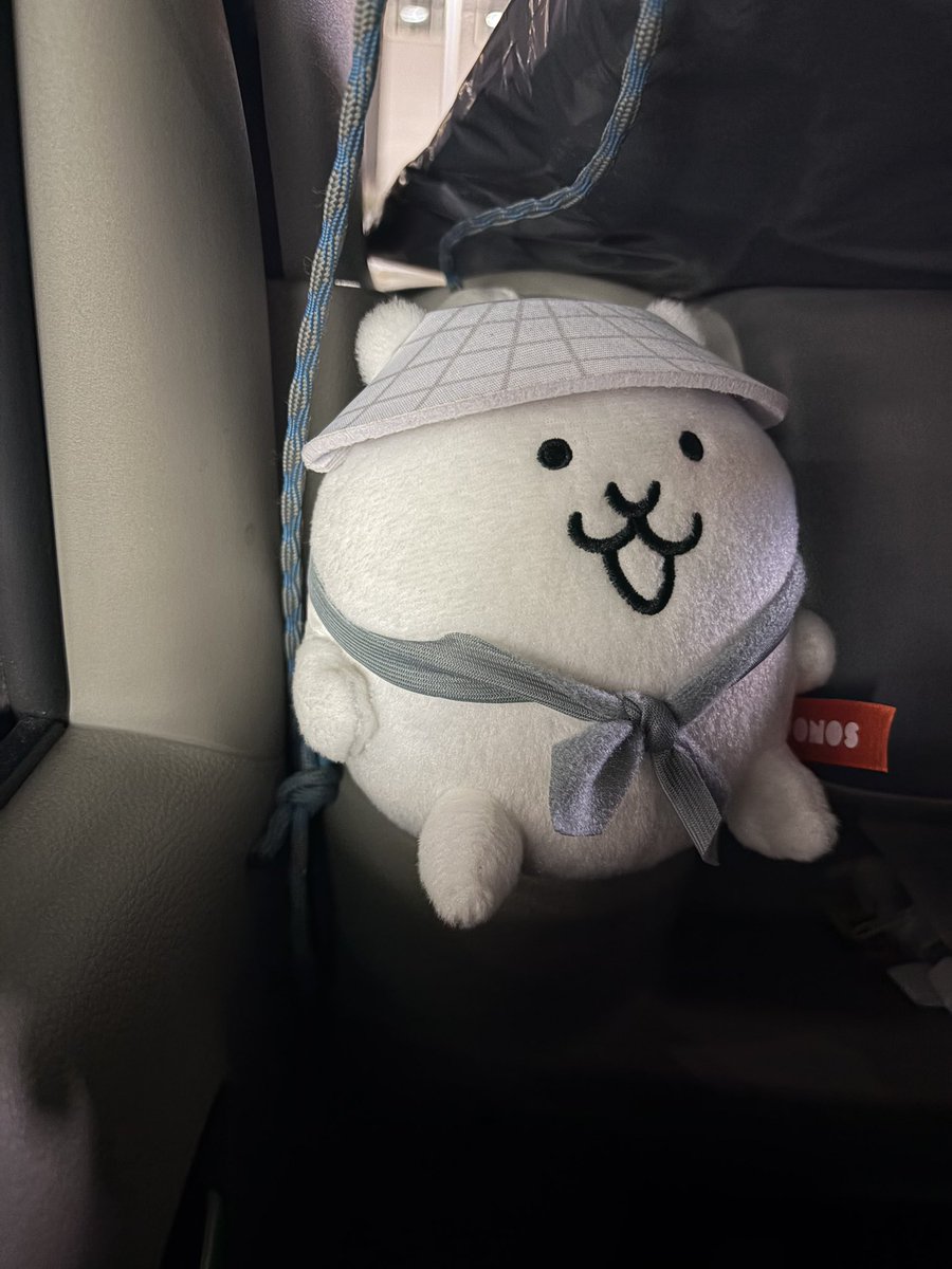 リクエスト❗️ きらめきニャンコ 「瞳はオッドアイ」 にゃんこ大戦争