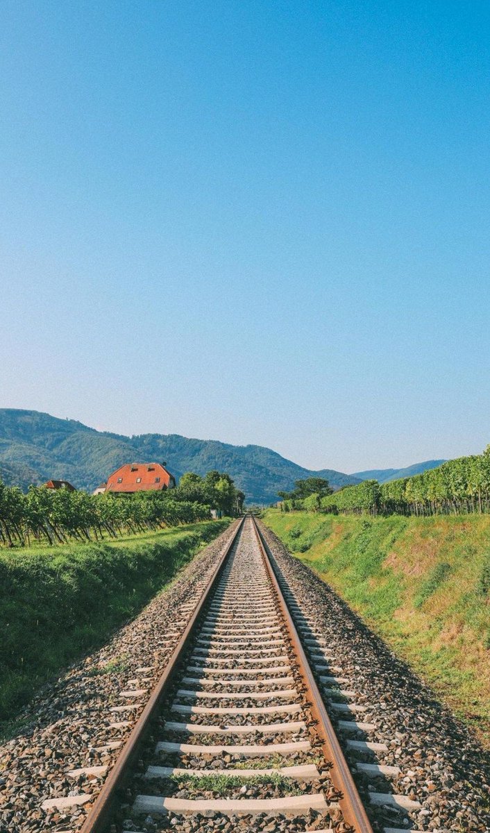 TruffertEdith's tweet image. これからに観察する 🐮