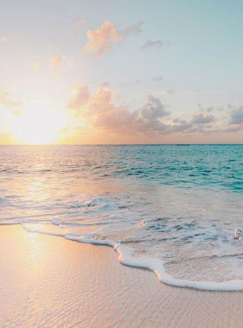 MattFify's tweet image. 汗ばむっておすすめ 🧟