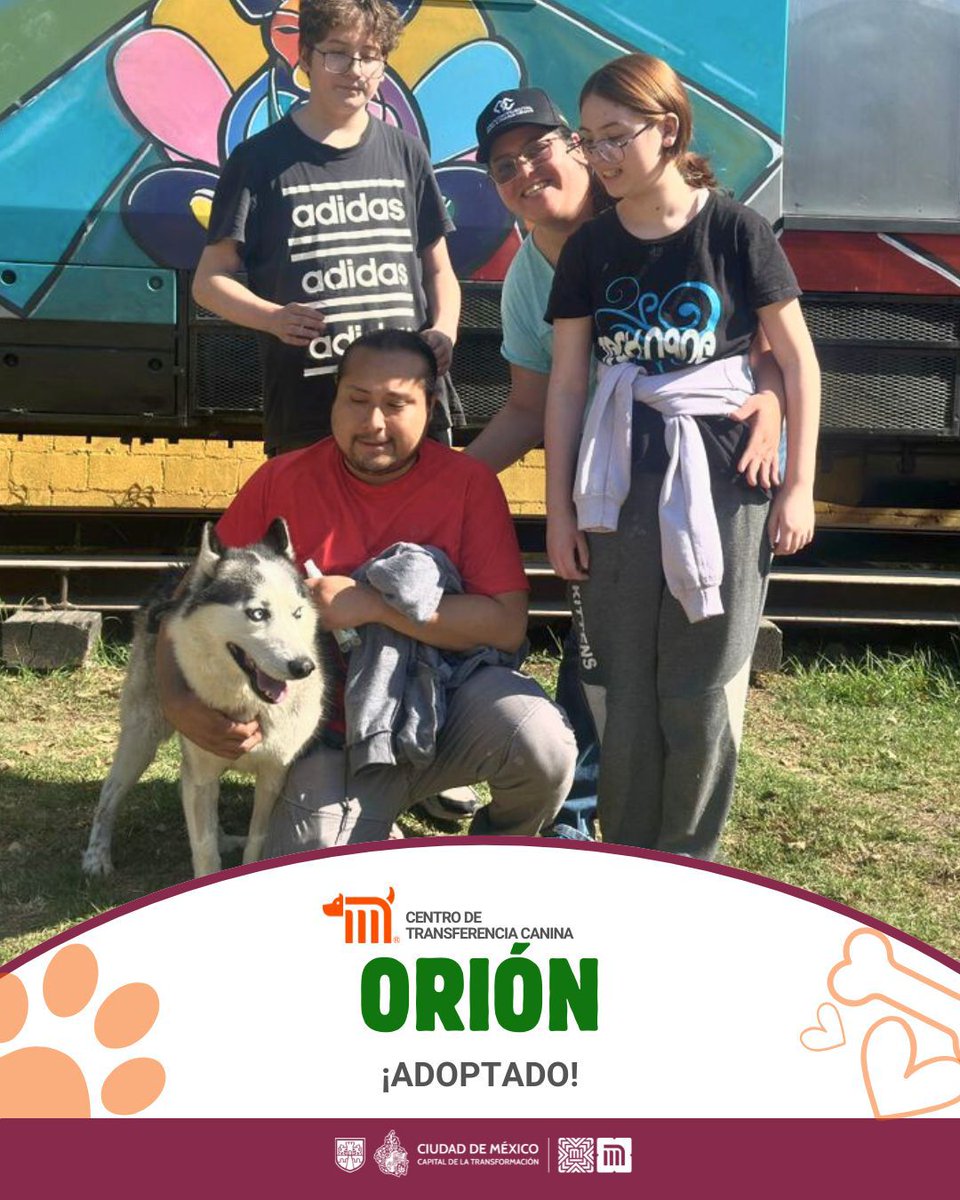 ctcdelmetro's tweet image. Orión fue adoptado y hoy inicia una nueva etapa. Estuvo bajo el cuidado del #CTCDelMetro y ahora ya forma parte de un hogar.  Tú también puedes adoptar. Consulta los requisitos de adopción bit.ly/2Dv5VXG. #AdoptaNoCompres