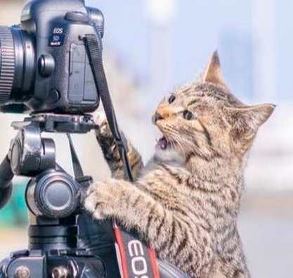 yatchben's tweet image. おっはー⇒
風が強いだから買い物する 🥔