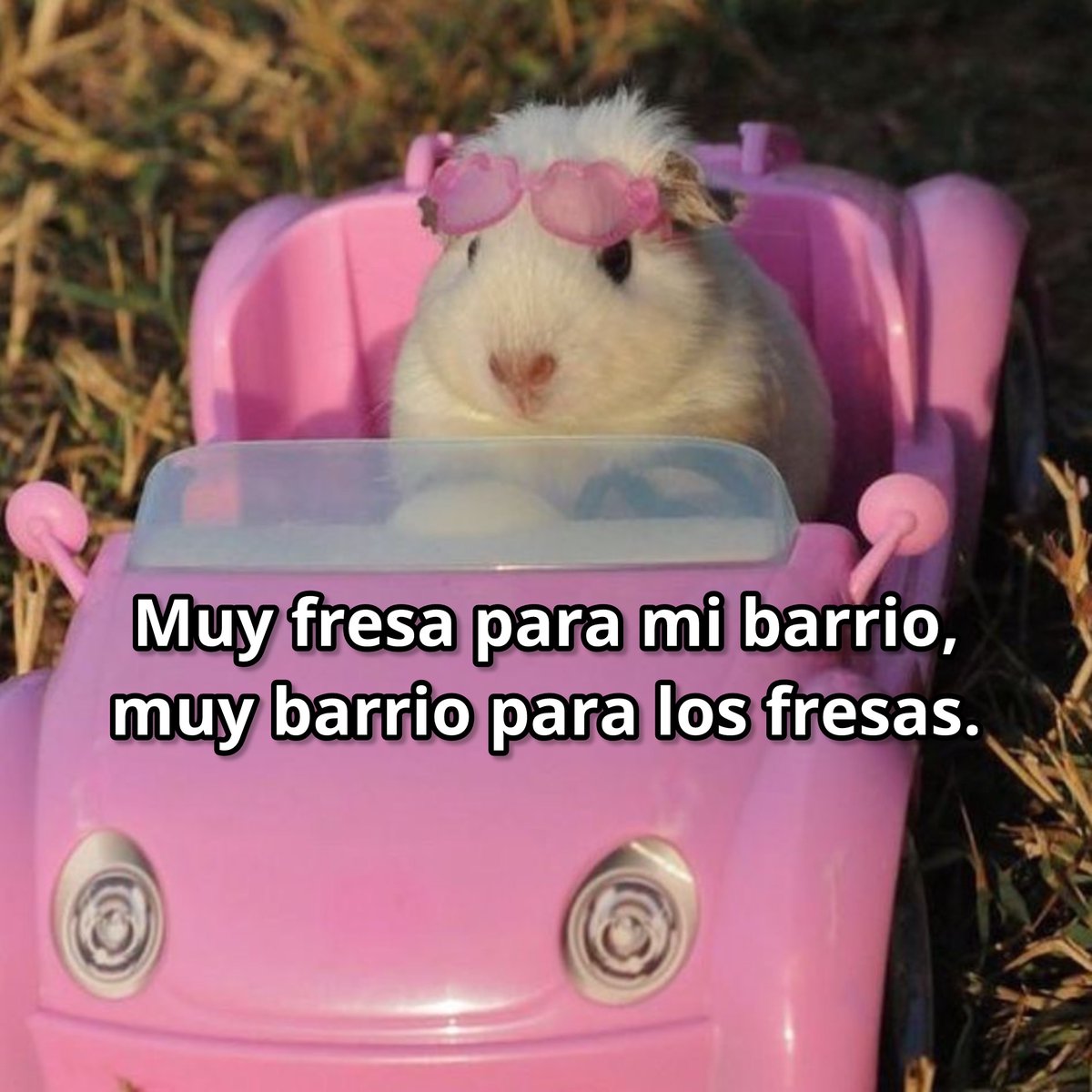 Ni una ni otra 💅🏻