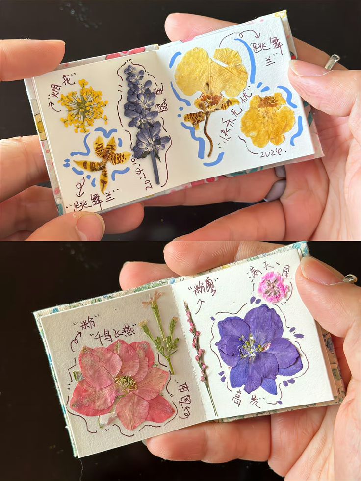 heart_jpg's tweet image. 