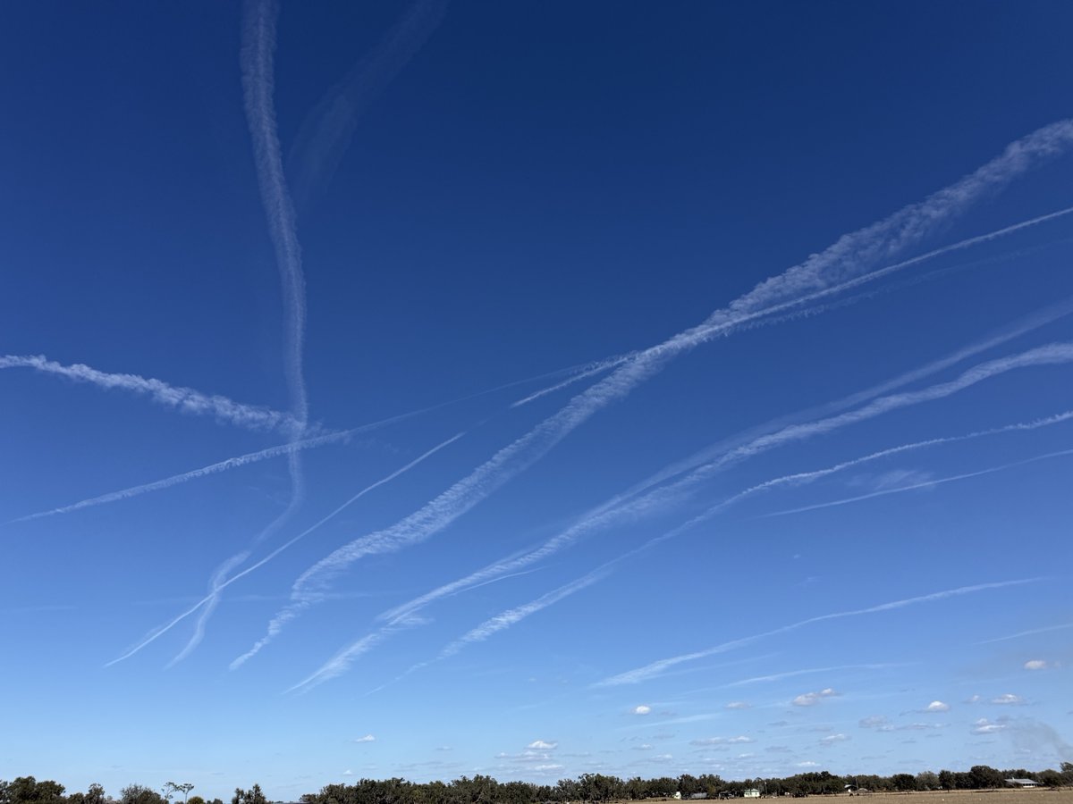 Congressman Greg Steube tweet media
