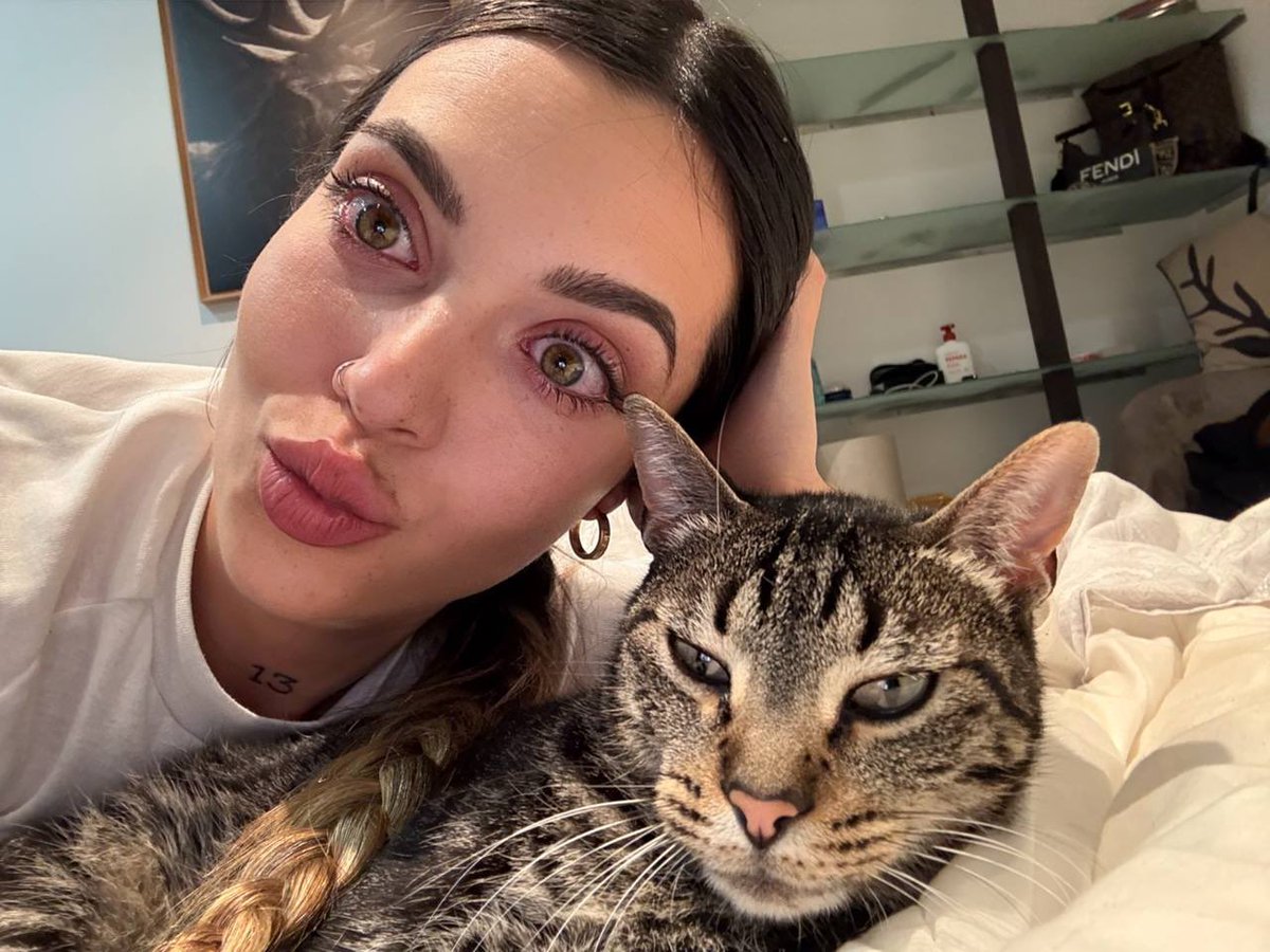 StaisyyFox tweet media