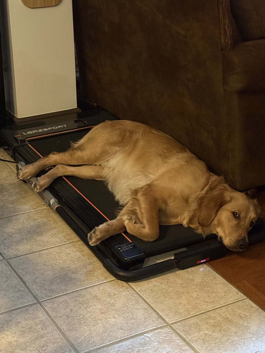 ChanceTheGolden tweet media