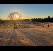 WeeklyBob's tweet image. 湿度高めから桜に変わった 🍼