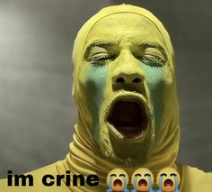 clémentine 𐔌˙. (@witheredclem) on Twitter photo 