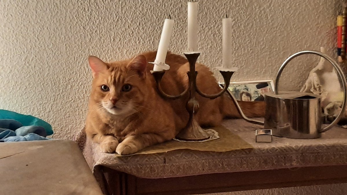 Markus Christen tweet media