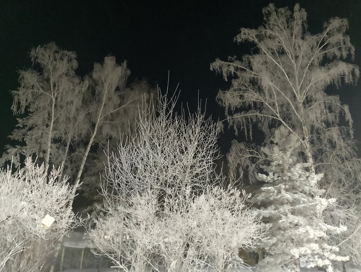 RedWhiteOctober's tweet image. Ребят, это всего лишь двор хруща при -35, ничего тревожного в этих фото нет