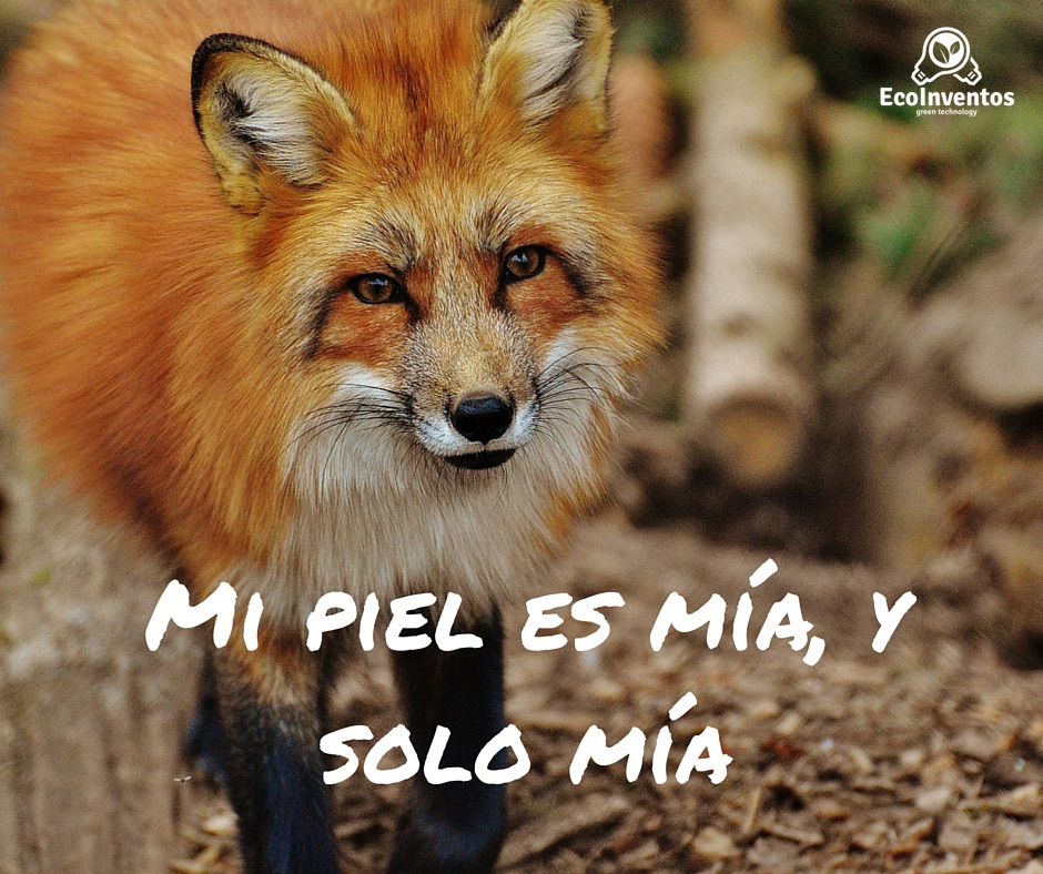 EcoInventos's tweet image. 🦊 “Mi piel es mía, y solo mía” – una frase poderosa que nos invita a reflexionar 🧠💔