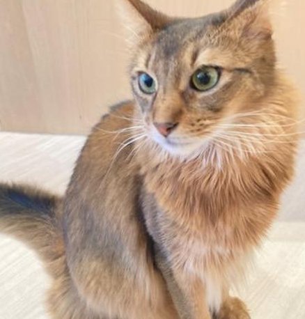 TheCaptainST's tweet image. 会議完了ww 😮