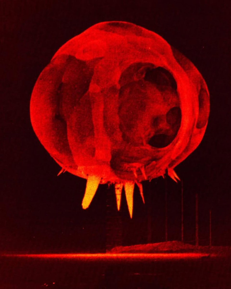 🚨: Behold! You're looking a nuclear explosion 0.001 seconds after explosion.

Its core can reach temperatures over 20 million degrees Celsius.