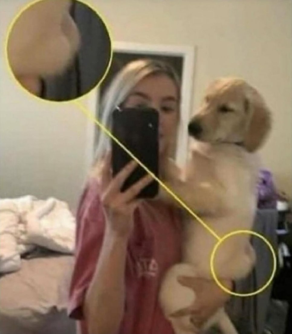 shitpost_2077's tweet image. 