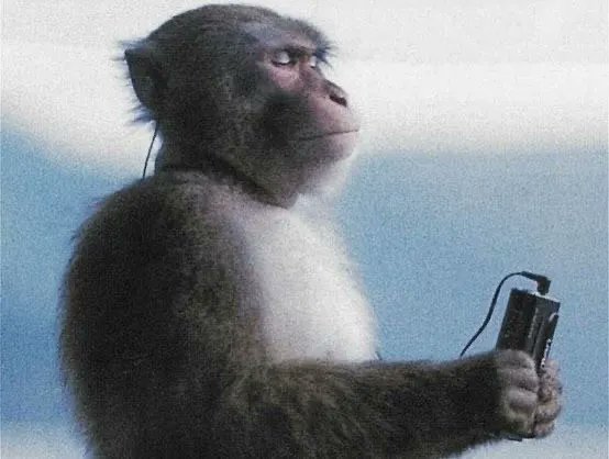 cryptomon tweet media