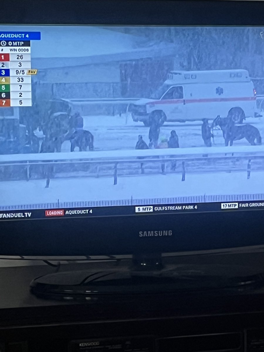 DGLebowitz's tweet image. Snowing at Aqueduct!