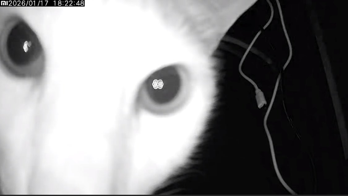 sneha tweet media