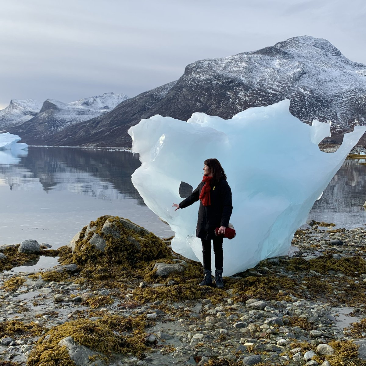 Kristina Háfoss tweet media