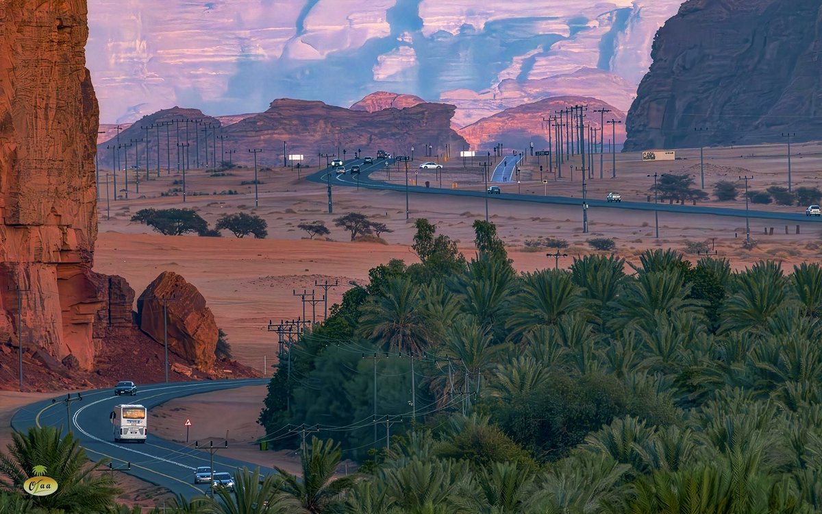 محمد بن أحمد الفريدي tweet media