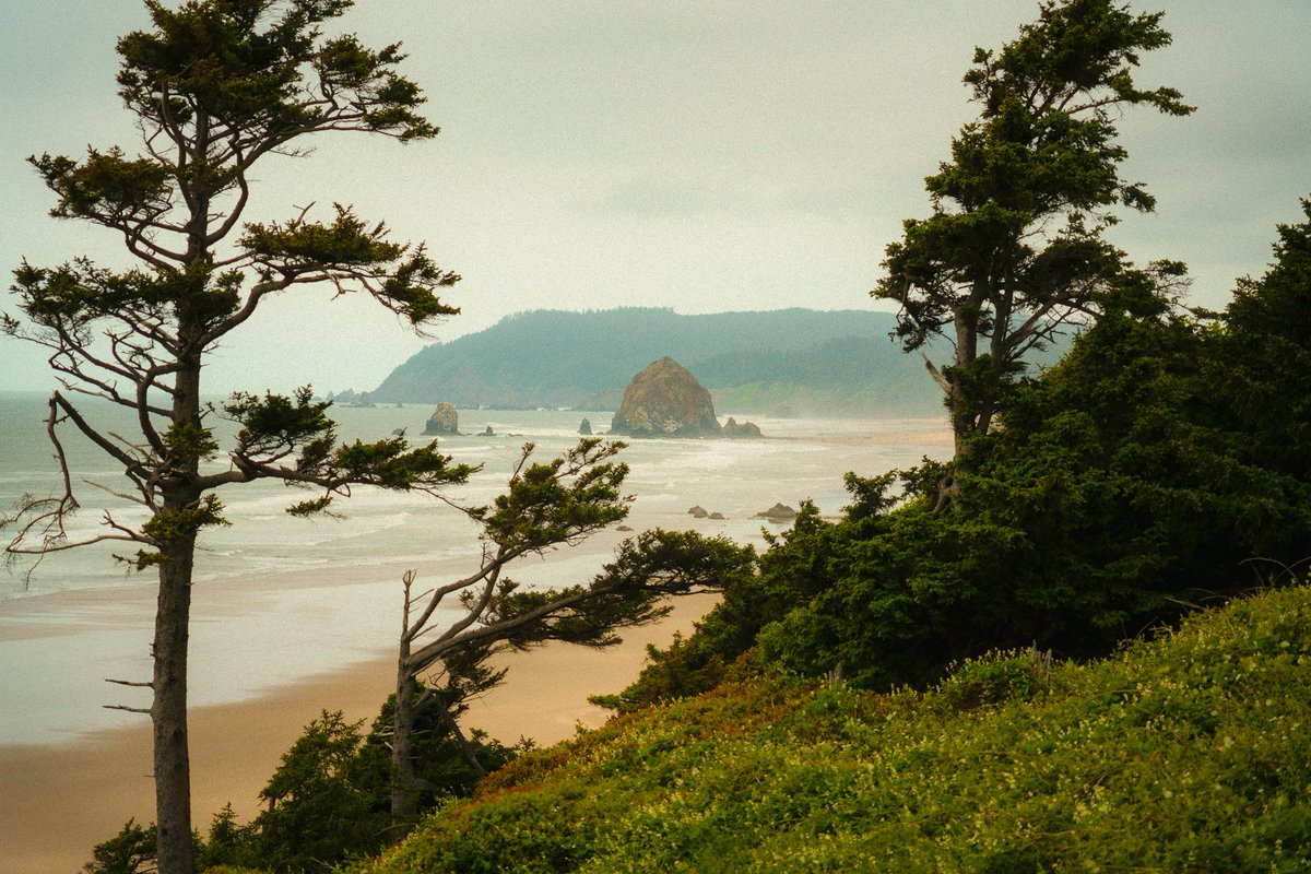 jeffmihaly's tweet image. The Oregon Coast, Framed by Nature