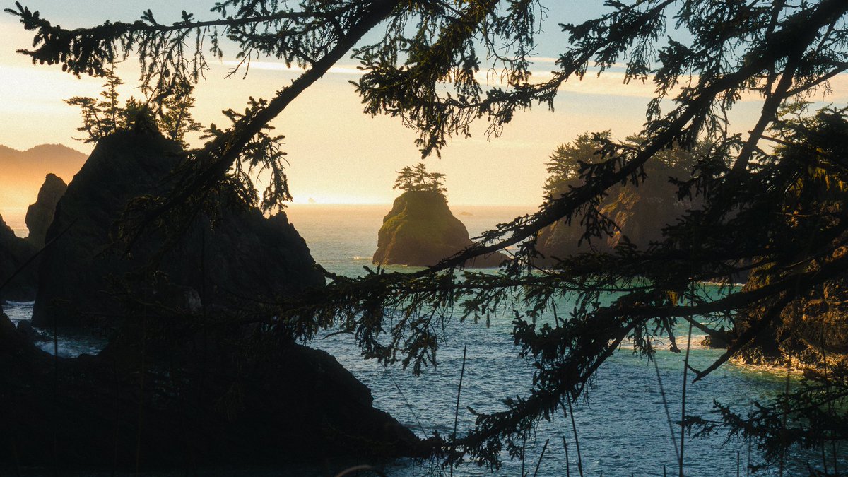 jeffmihaly's tweet image. The Oregon Coast, Framed by Nature