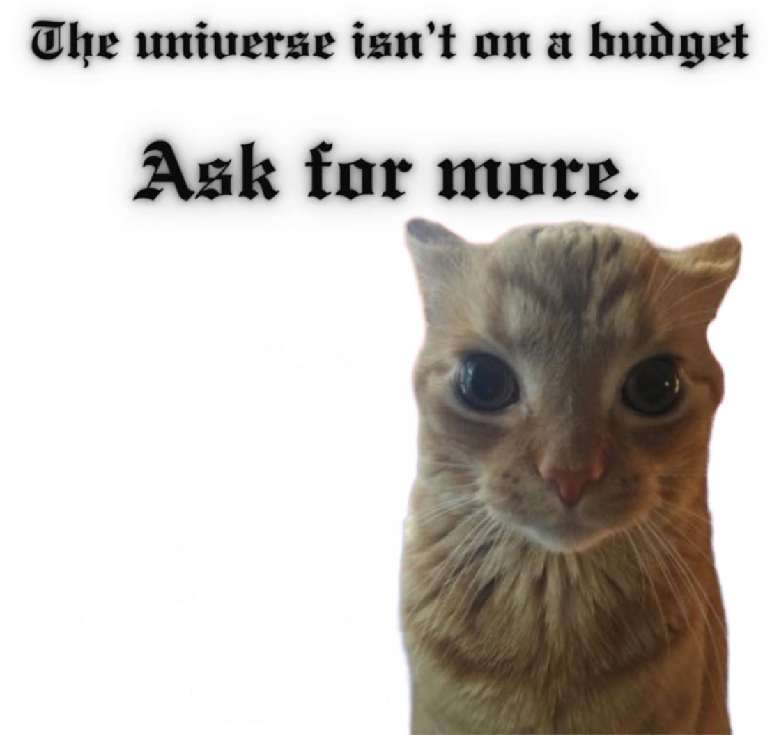 GaK (@gakstercat) on Twitter photo 