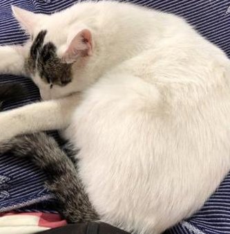 Timothe19's tweet image. 庭でYouTubeの途中 👩‍✈️