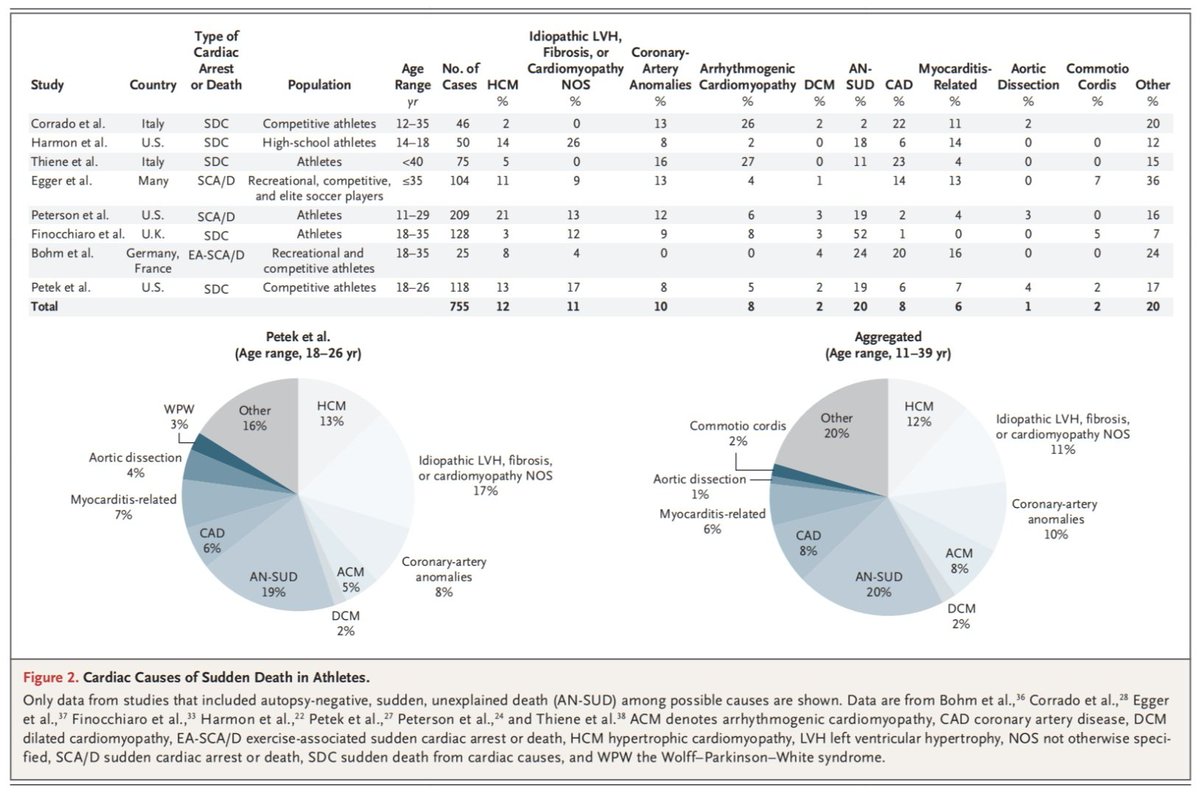 Dr. FEVI🫀🩺 tweet media