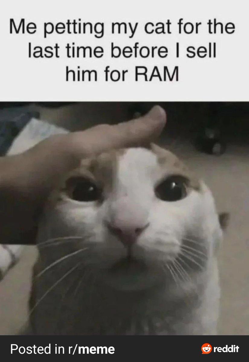 Debashish ᐛ tweet media