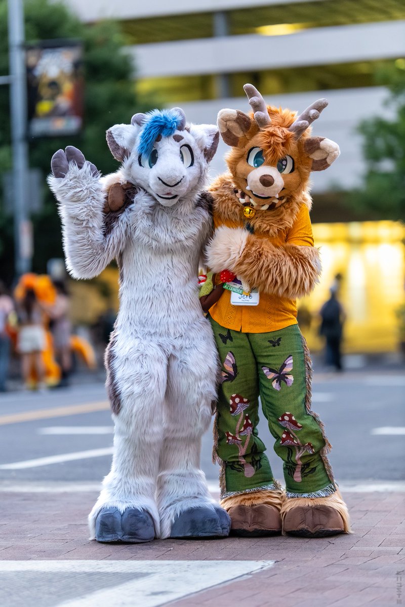 Hydah @ TFF tweet media