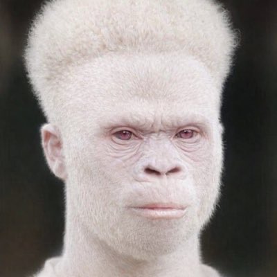 frenchy27ii's tweet image. 