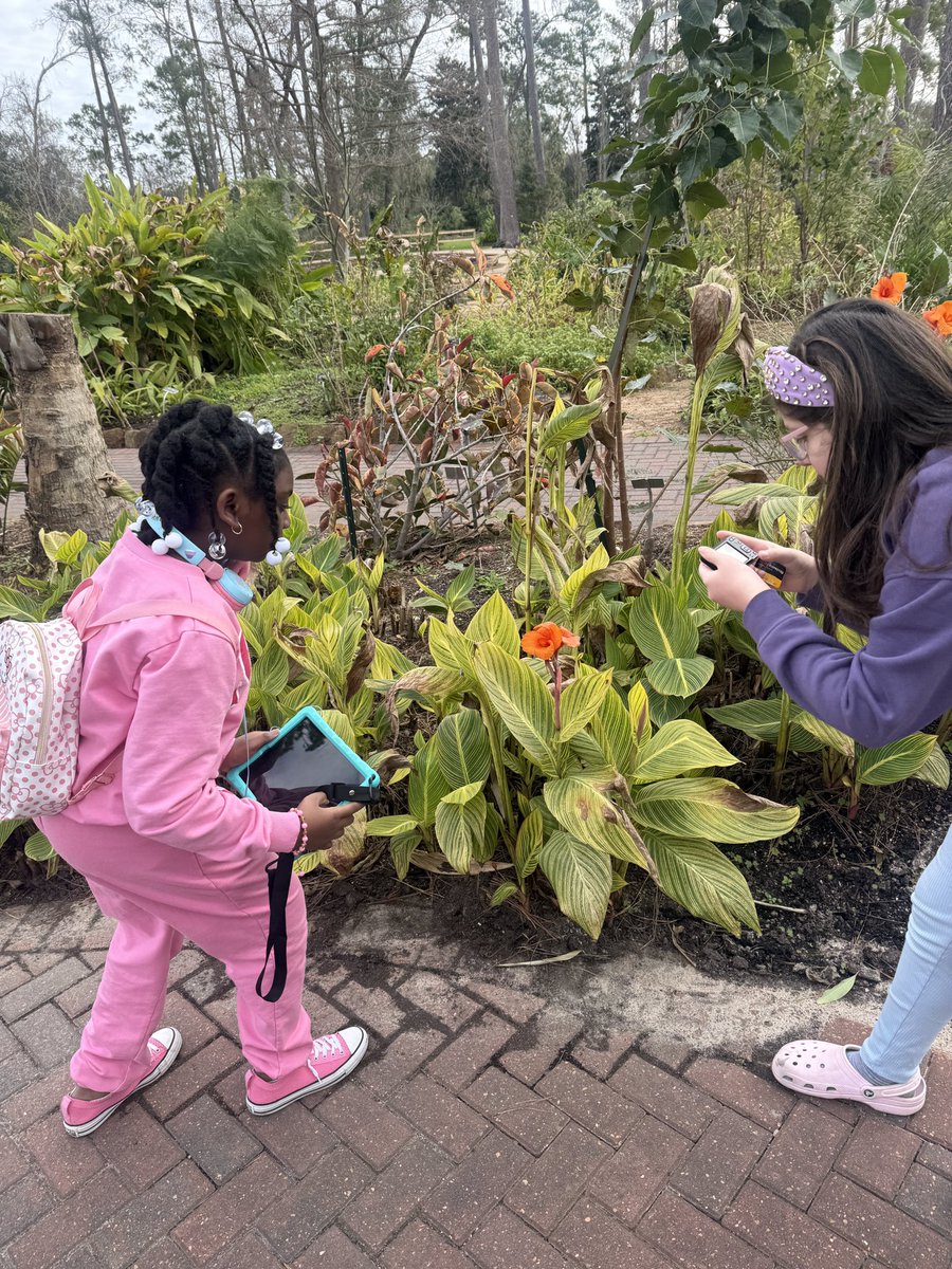 mrs. lopez taylor tweet media