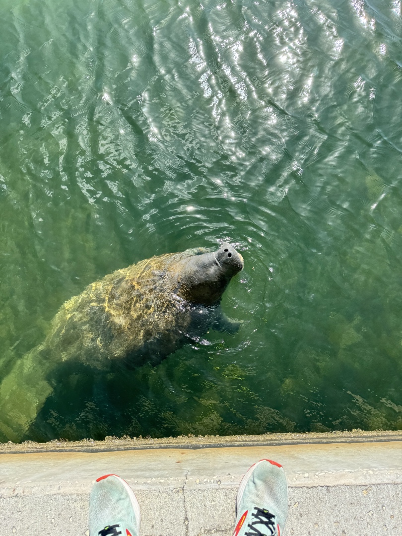 Rev. Dr. Doge Christopher Benek tweet media