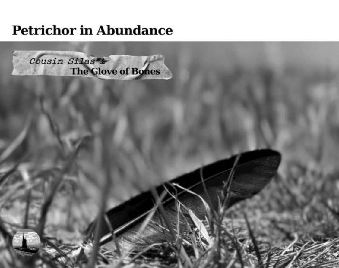 Blauerosen tweet media