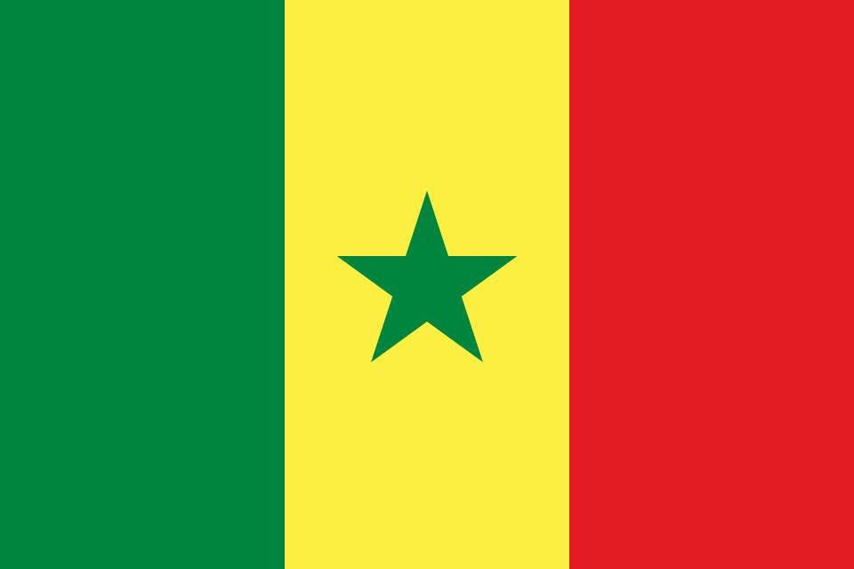 samehelshahat20's tweet photo. كل الدعم للمنتخب السنغالي الشقيق في المباراة النهائية لكأس الامم الافريقية ليحقق لقبين في خمس سنوات وليس خمسون عام 
#كأس_أمم_إفريقيا 
#السنغال
#المغرب
#مصر https://t.co/kSKBCEgSll