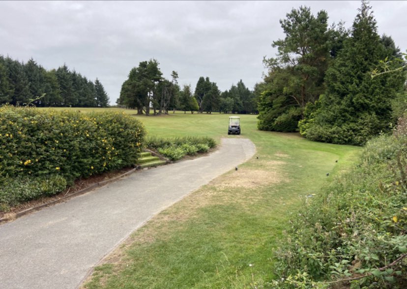 David A. Minogue tweet media